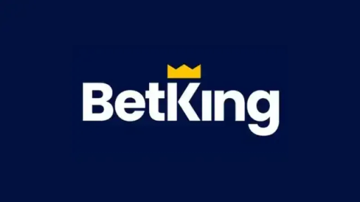 ngbetkingcasino.com Logo